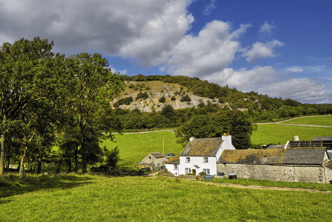 Borrowers’ home secures a bridge to buy at auction