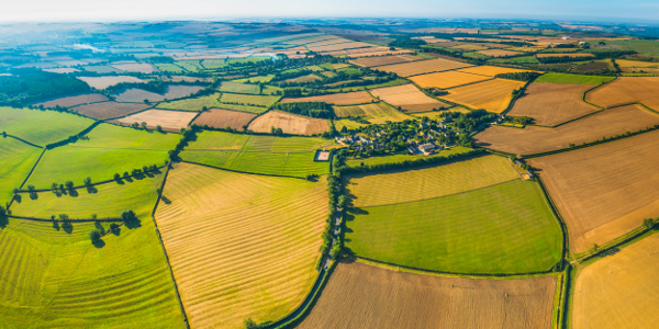 The influence of Buy-to-Let on UK housing